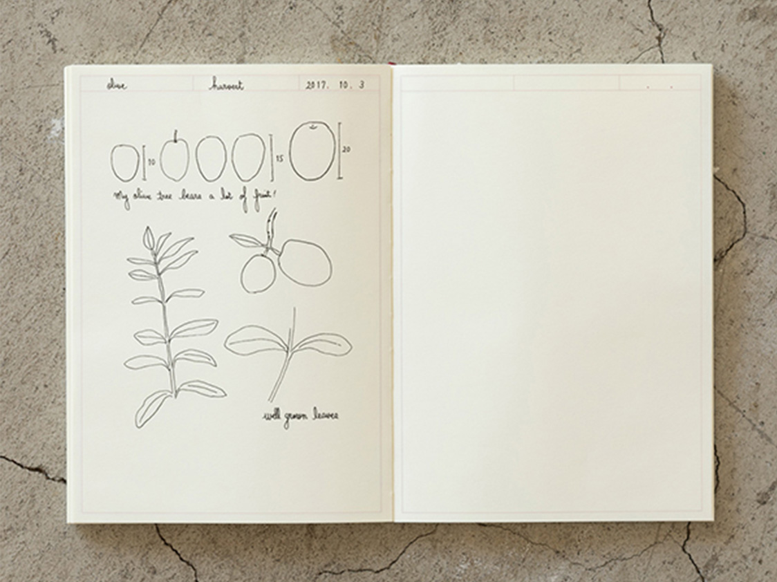 MD Midori Notebook Journal - A5 (Dot grid, Frame) - Image 3