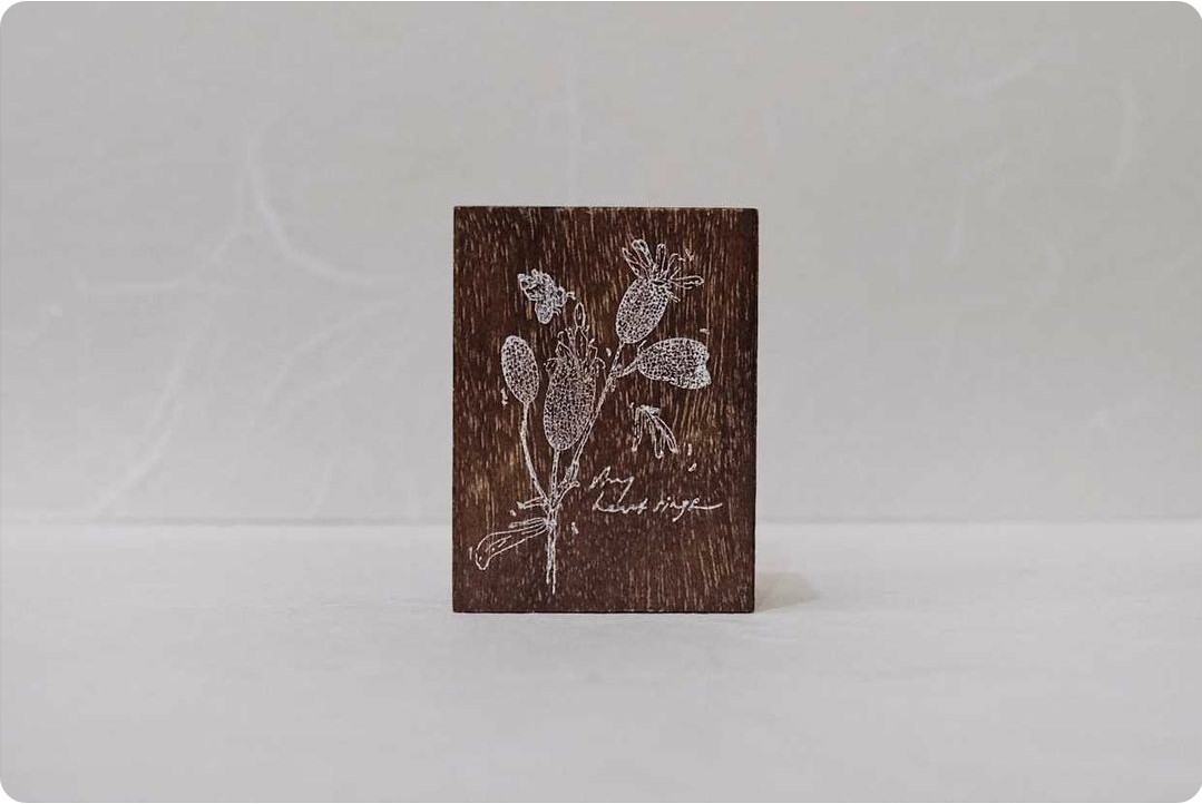 Cafe Analog x JieYanow Atelier exclusive - 'Silene Vulgaris' - Image 2