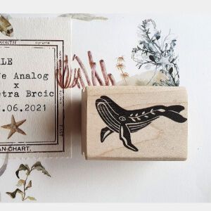 Whale Stamp- By Cafe Analog X Petra Brcic