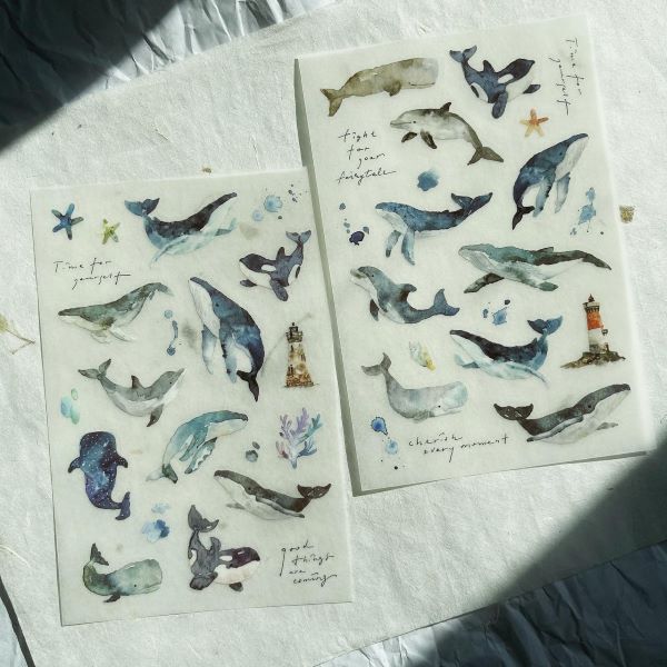 PION Transfer Stickers - 'Whale' - Image 2