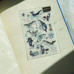 PION Transfer Stickers – ‘Whale’