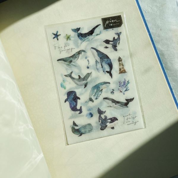 PION Transfer Stickers - 'Whale'