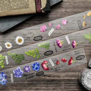 Miao Stelle – Spring Overture – PET Tape