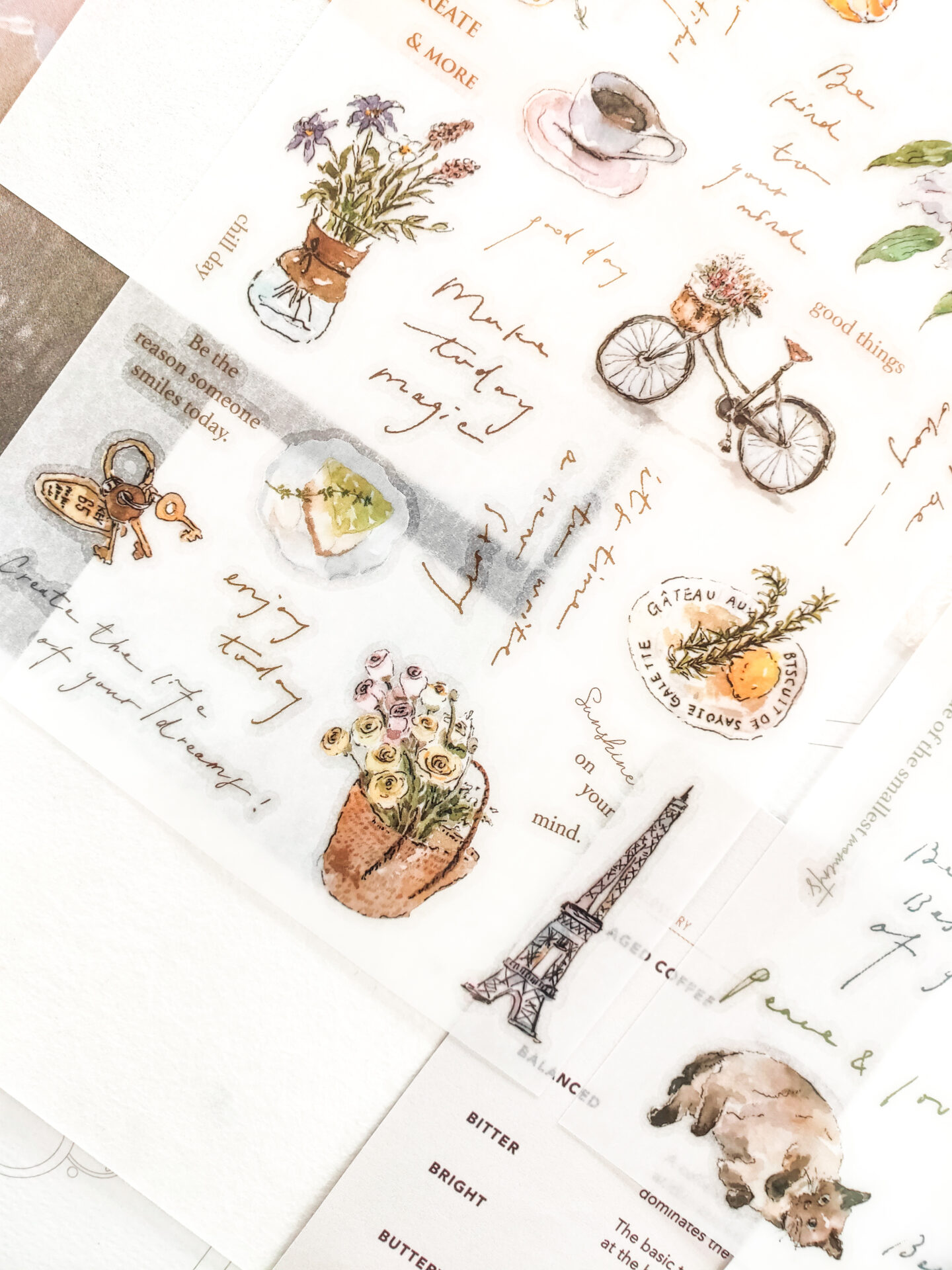 PION Transfer Stickers - Chill