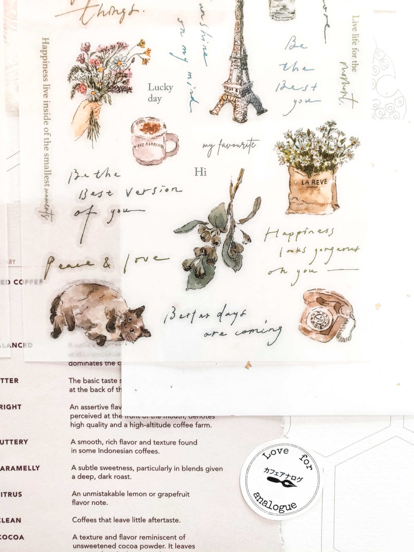 PION Transfer Stickers - Chill