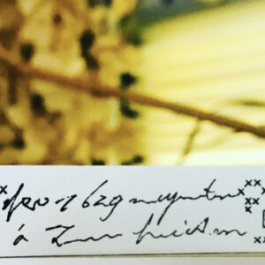 Lamp x Paperi Brocante - Original Stamp - Embroidery Long #6