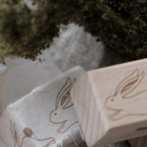 BigHands - Wander Rabbit - Hop Hop Rabbit - Stamp
