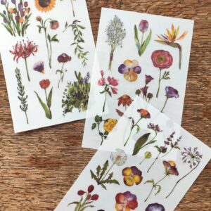 OURS Studio – Flowers – Transfer/Print-on Sticker Pack