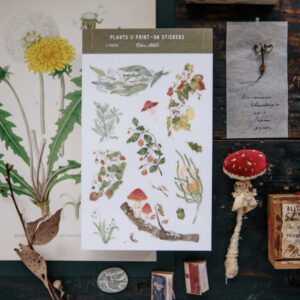 OURS Studio – Wild Plants II – Transfer/Print-on Stickers