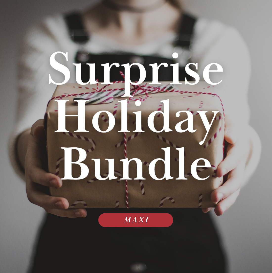 Surprise Holiday Bundle - MAXI 01
