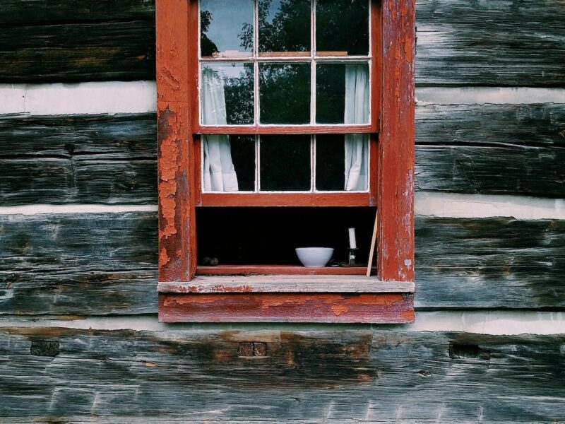 Photo by Mari Madriz on Unsplash