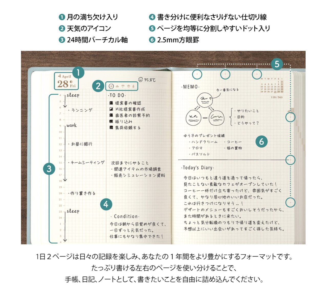 2025 - Midori HIBINO Diary - A6 Blue Green