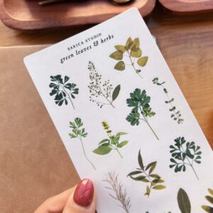 Sarica Studio - Green Leaves and Herbs - Sticker