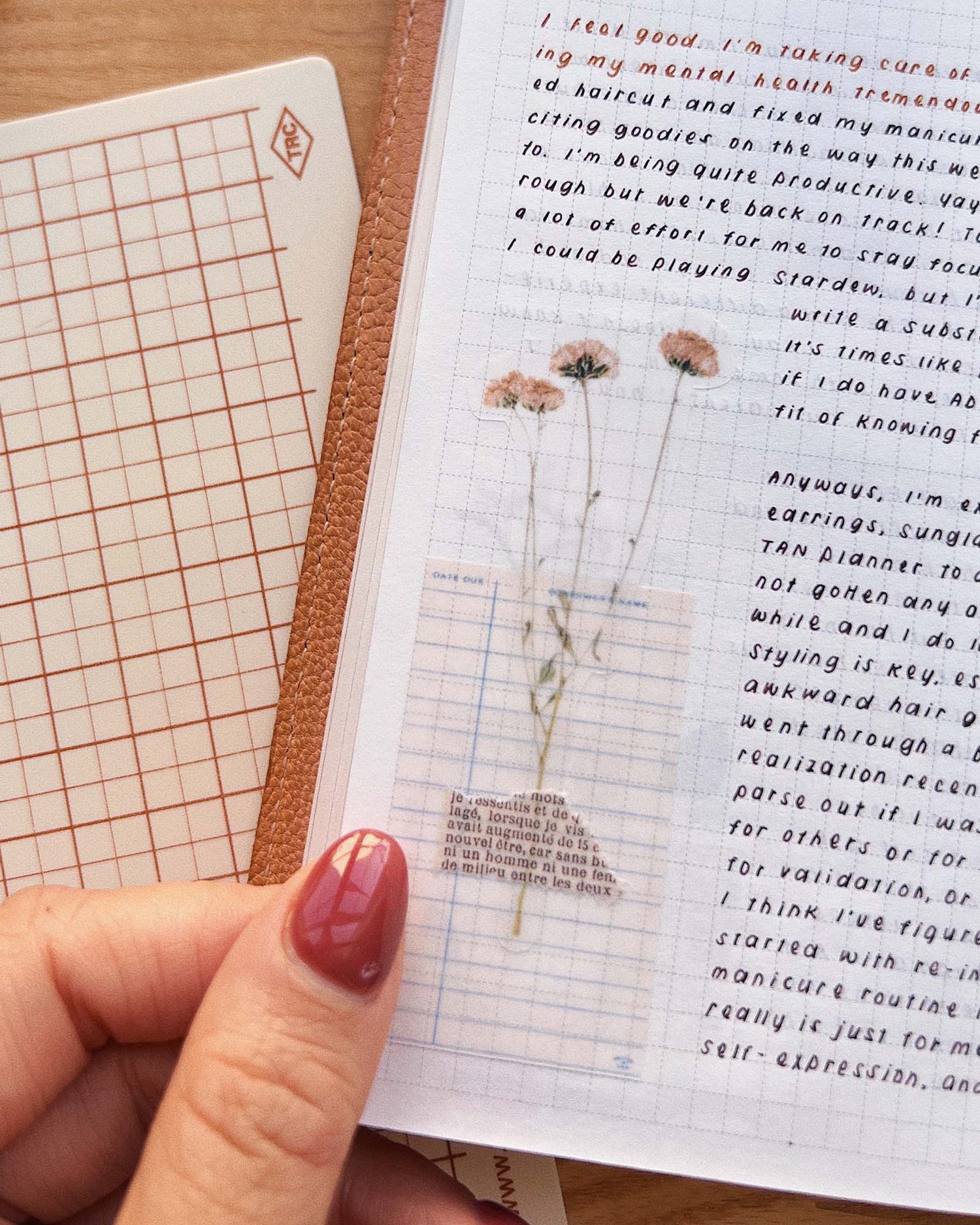 Sarica Studio - Pressed Wildflowers 01 - Sticker