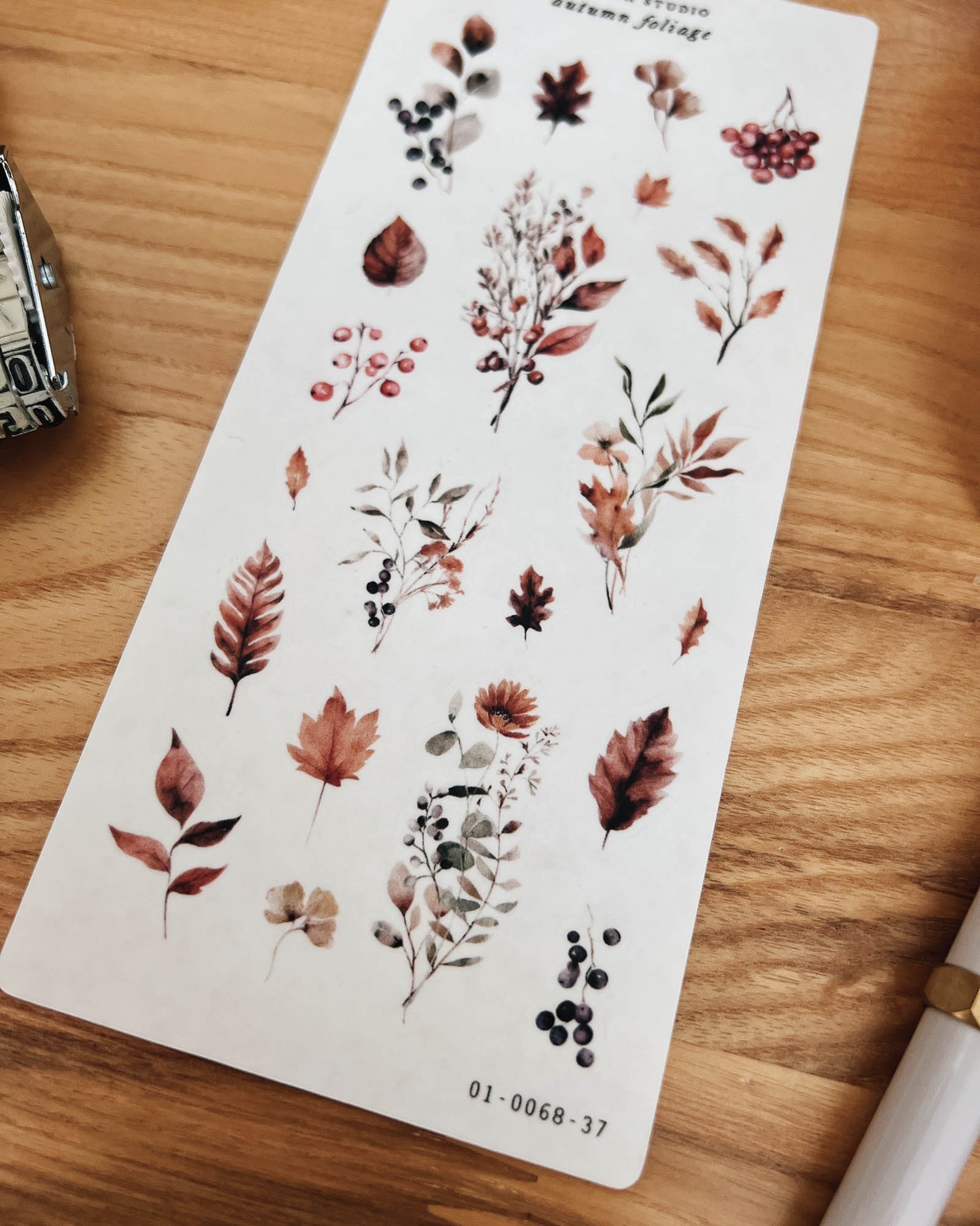 Sarica Studio - Autumn Foliage - Sticker