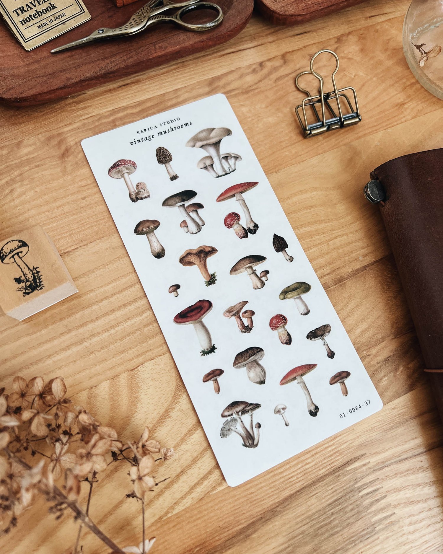 Sarica Studio - Vintage Mushrooms - Sticker