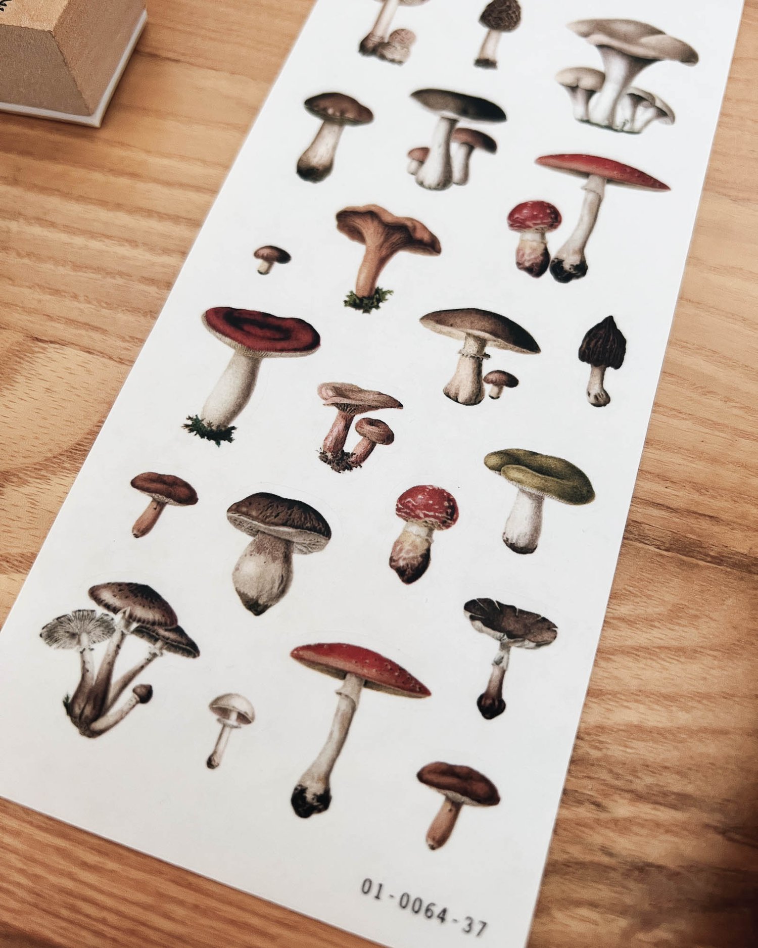 Sarica Studio - Vintage Mushrooms - Sticker