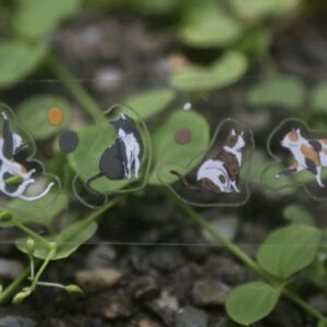 Modaizhi - Meow Meow - Kiss Cut PET Tape