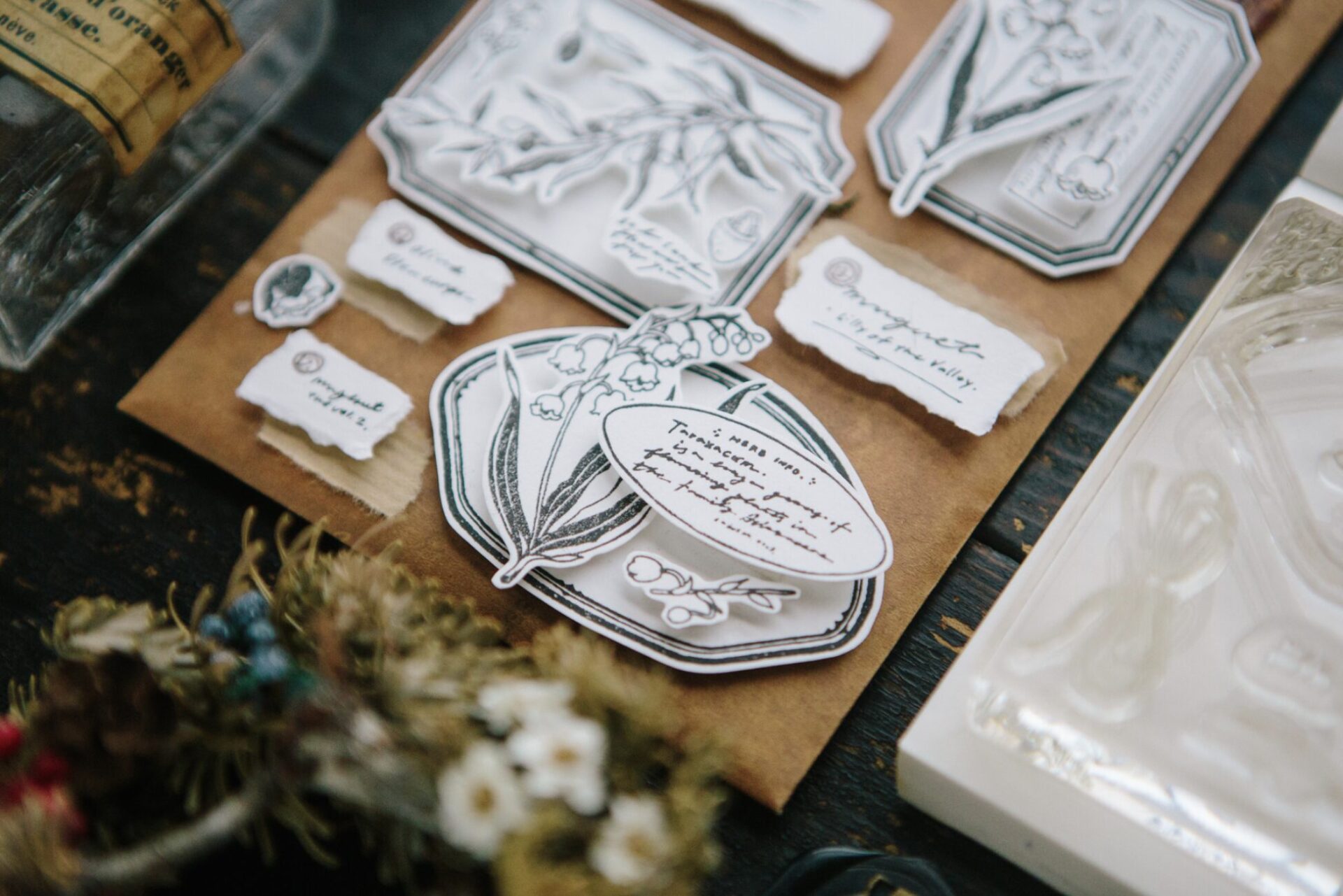 OURS Studio - de Cadre - Clear Stamp Sheet