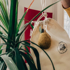 October Fest – PEAR 8 – Surprise Bundle