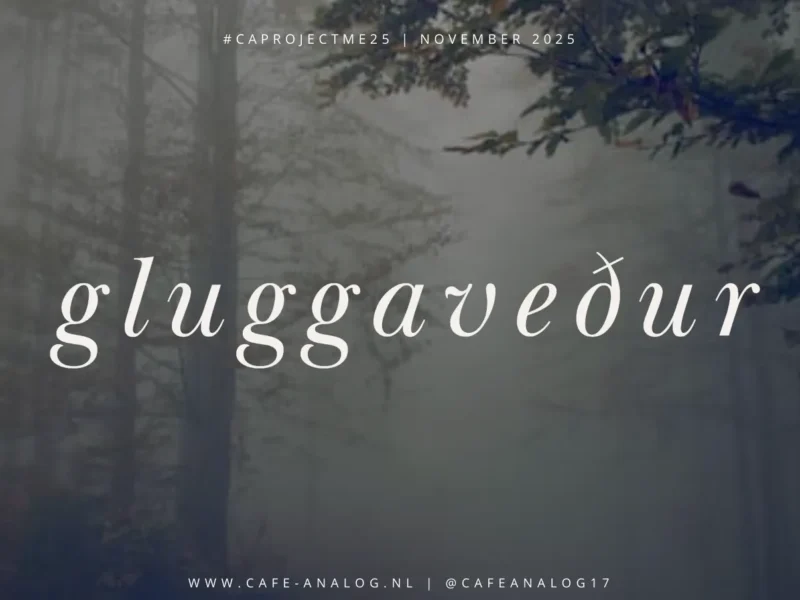 November: Gluggaveður