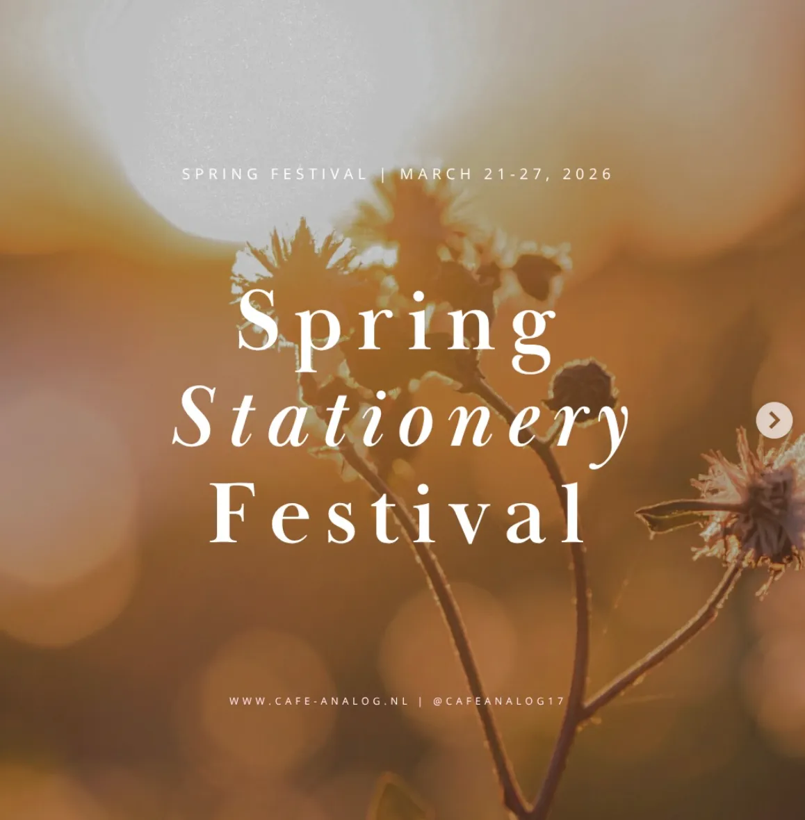 surprise spring bundle 2026
