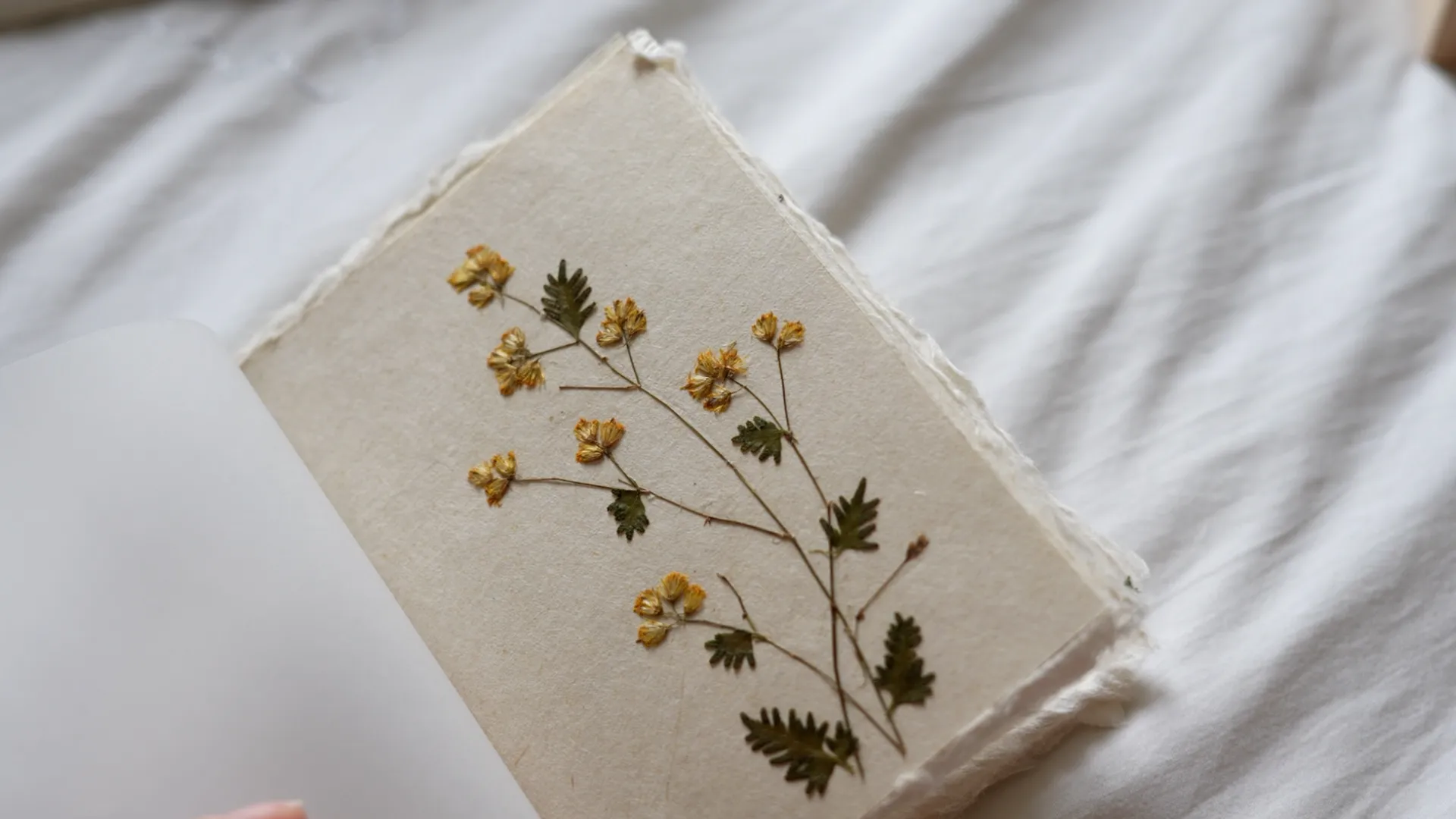 Ana Jiménez - Passport Size Limited Edition - Handmade Journal with Deckled Edges