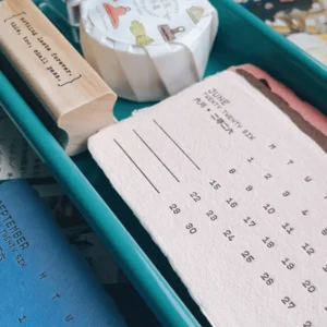 DULTON - Gray Green - Small Desk/Pen Metal Tray