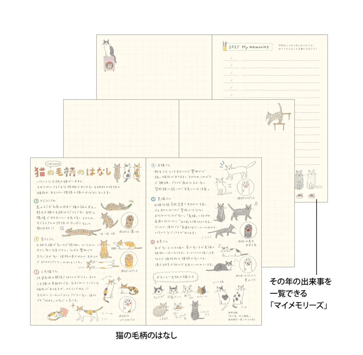 2027 - Midori Pocket Diary A6 - Cat