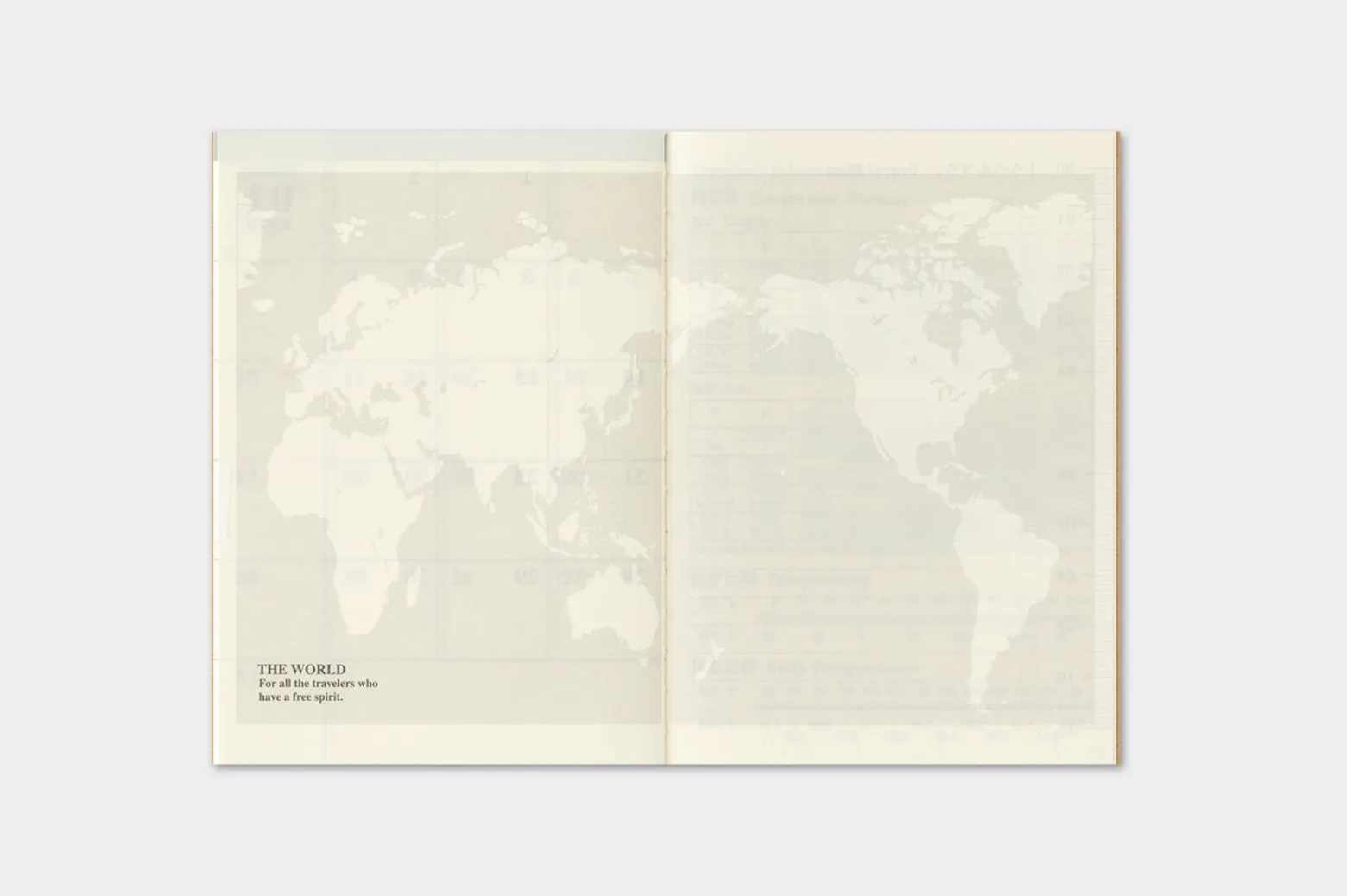 2027 - TRC Traveler's Notebook - Monthly Diary - Passport Size