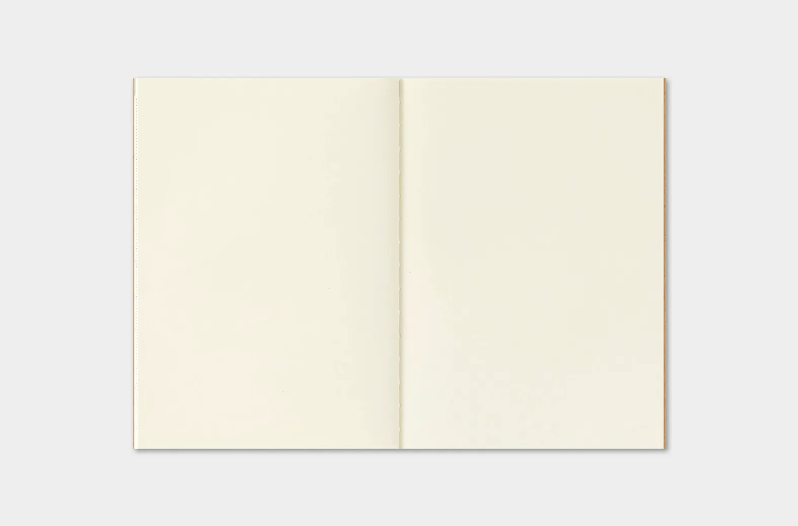 2027 - TRC Traveler's Notebook - Monthly Diary - Passport Size