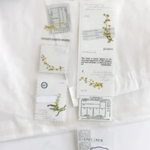 NYRET – Tape X Mimosa – Washi Tape