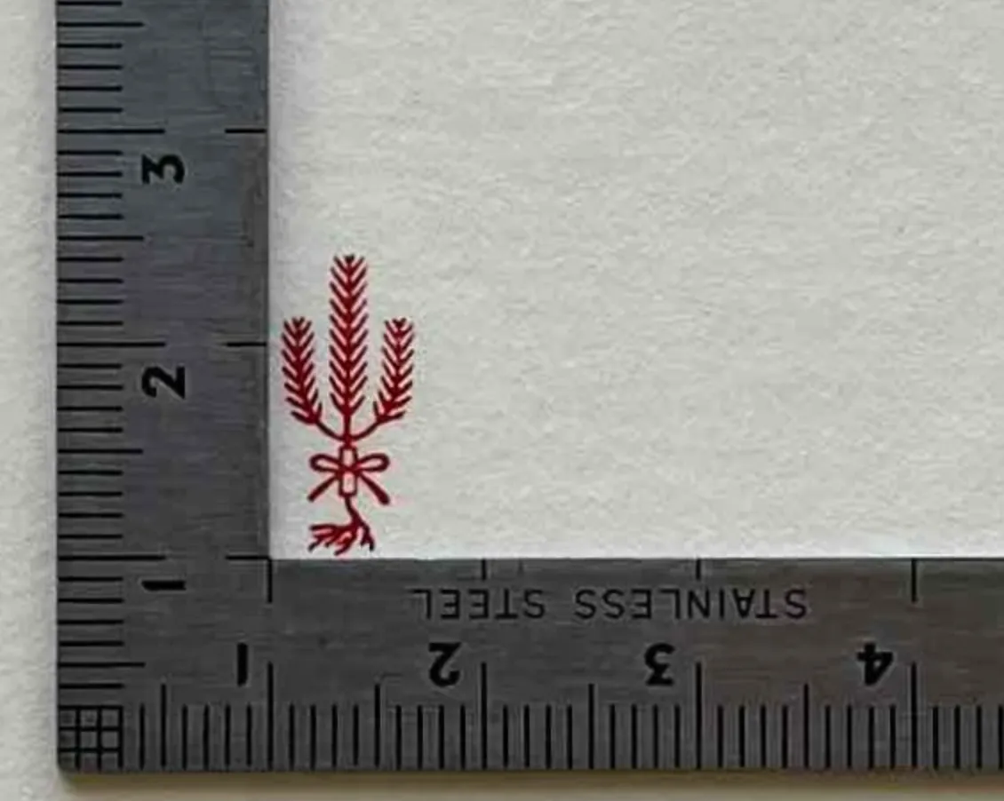 Kobo-Ren - Matsukazari (Pine Decoration) - Exclusive Stamp