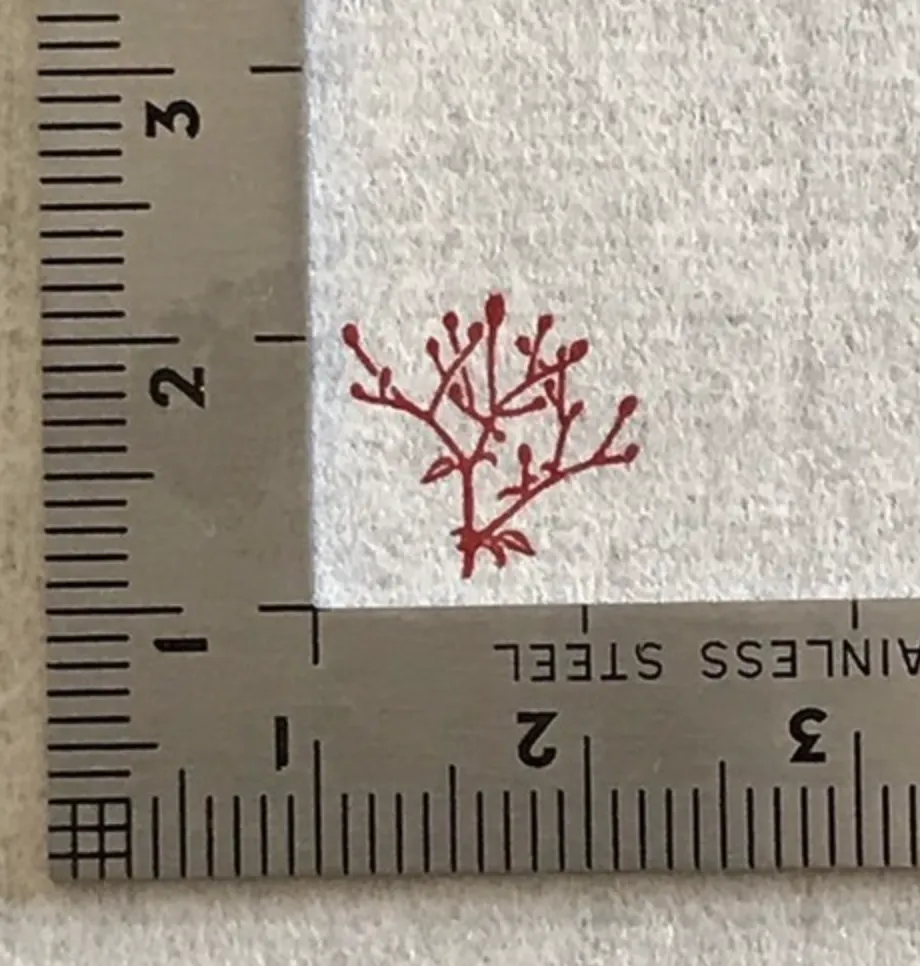 Kobo-Ren - Waremoko (Japanese Burnet) - Exclusive Stamp
