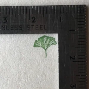Kobo-Ren - Icho (Ginkgo) - Exclusive Stamp