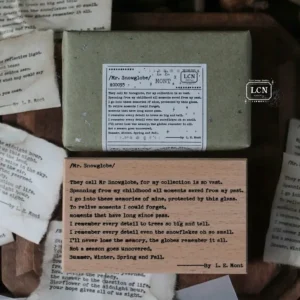 LCN – Lin Chia Ning – Mr. Snowglobe – Poetry Stamp